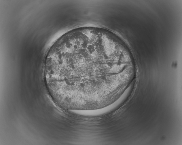 X0000115631367200912221240