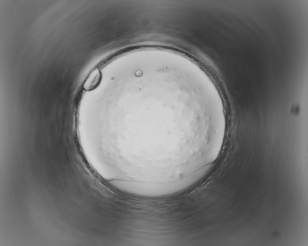 X0000115631368200912221240