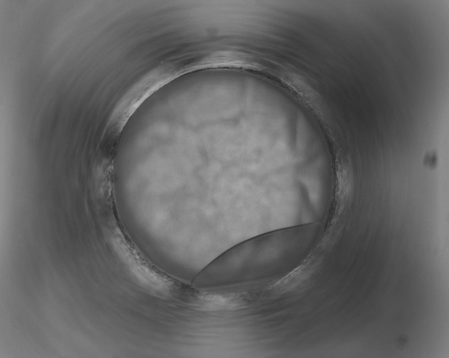 X0000115631369200912221240