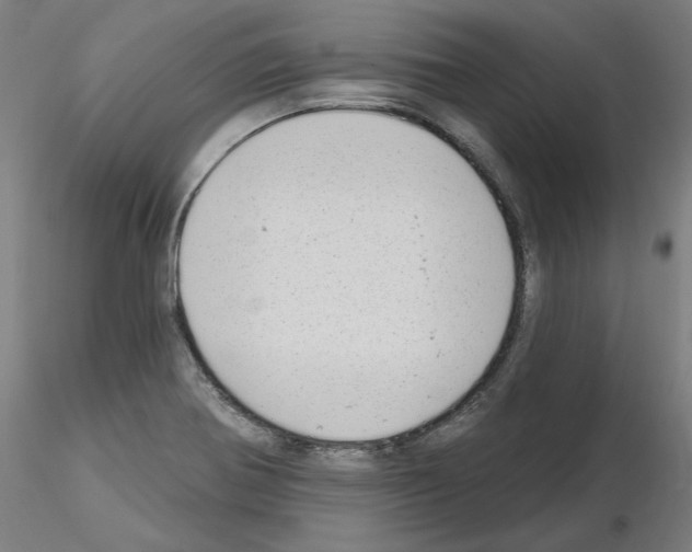 X0000115631370200912221240