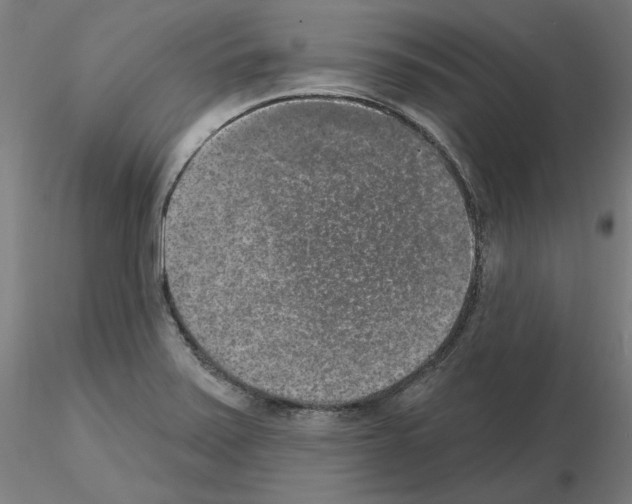 X0000115631371200912221240