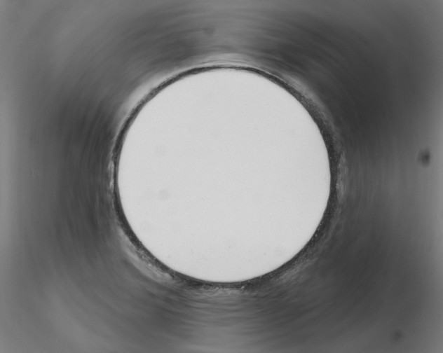 X0000115631372200912221240