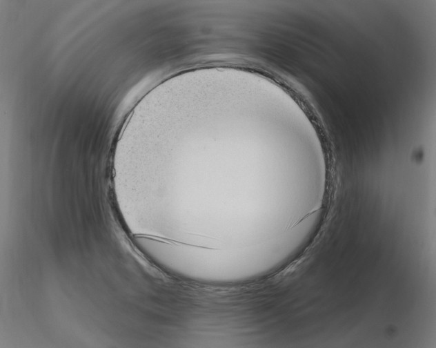 X0000115631373200912221240
