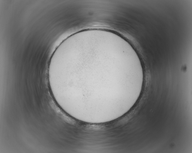 X0000115631374200912221240