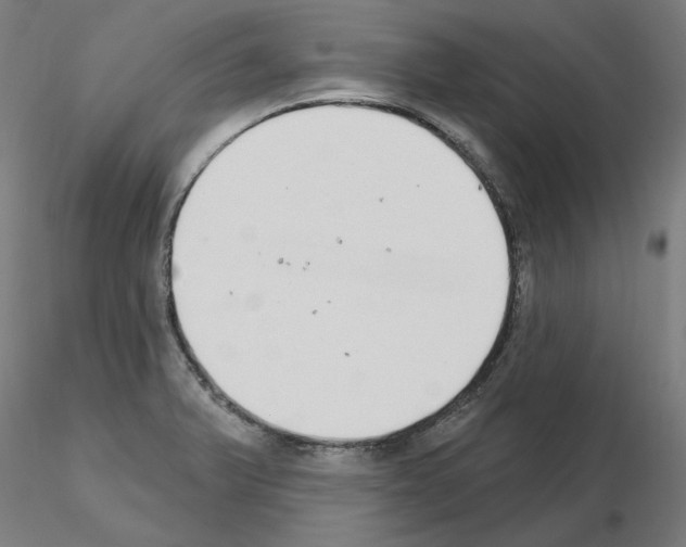 X0000115631375200912221240
