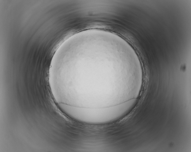 X0000115631377200912221240