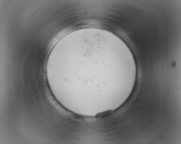 X0000115631378200912221240