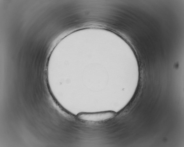 X0000115631379200912221240