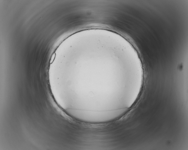 X0000115631381200912221240