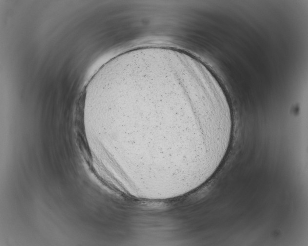 X0000115631382200912221240