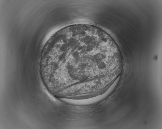 X0000115631383200912221240