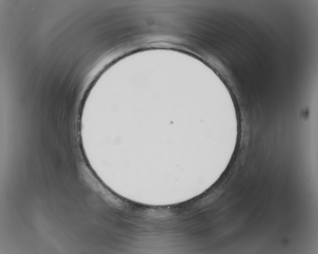 X0000115631384200912221240