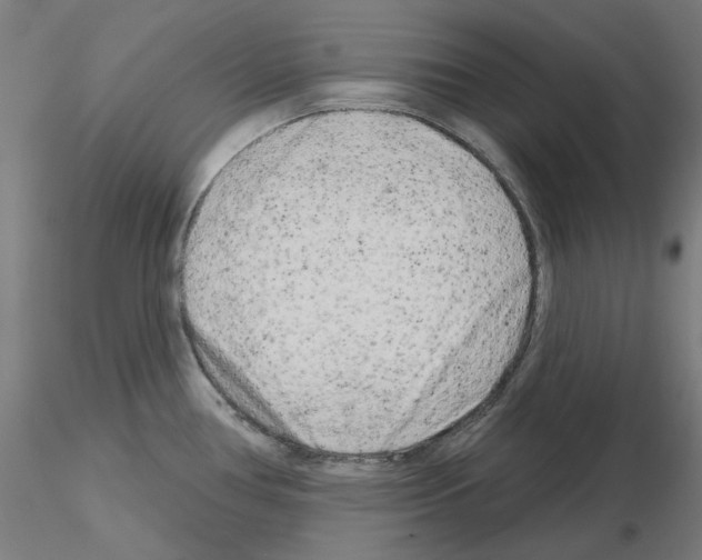 X0000115631386200912221240