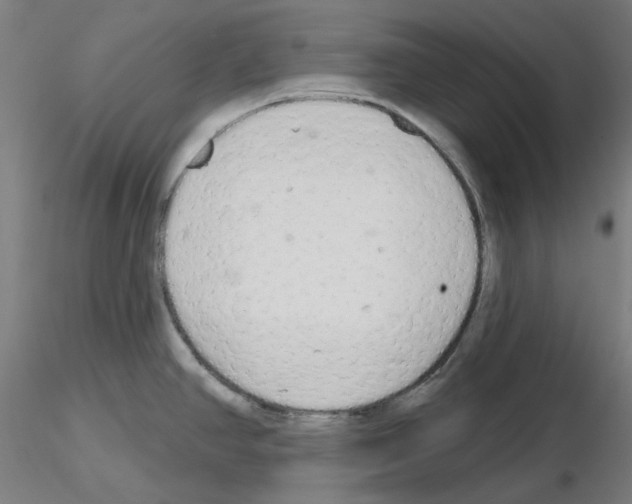 X0000115631390200912221240