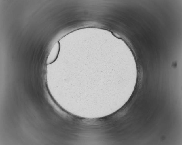 X0000115631391200912221240