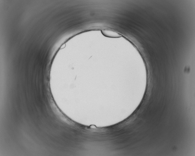 X0000115631392200912221240
