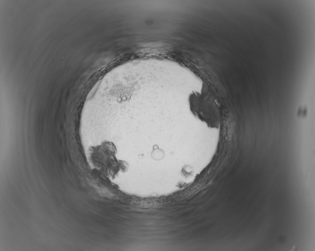 X0000115631393200912221239
