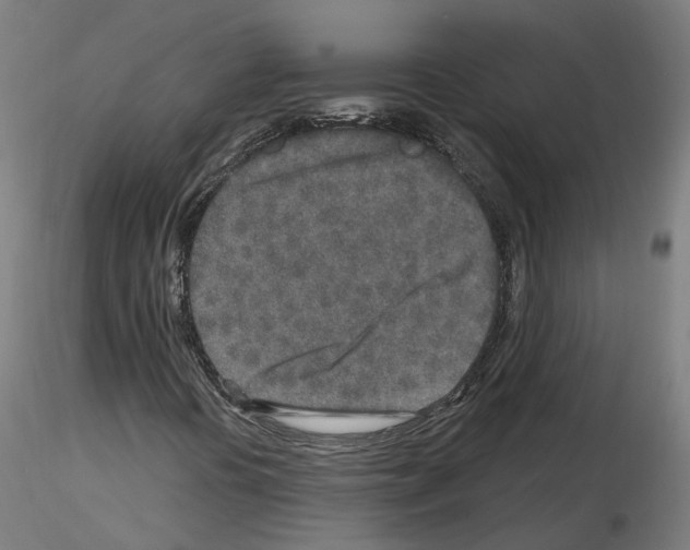 X0000115631394200912221239