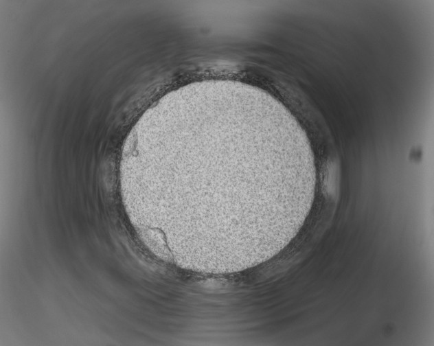 X0000115631395200912221239
