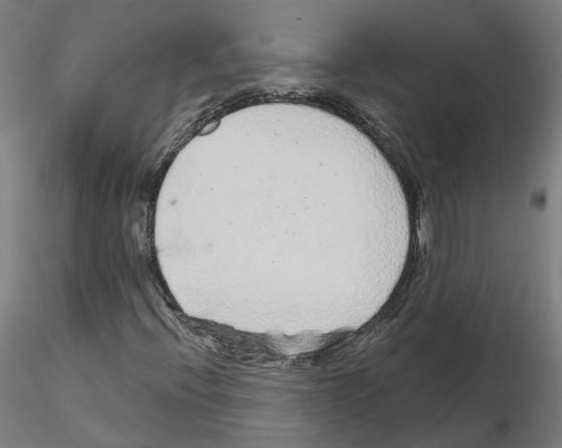 X0000115631396200912221239