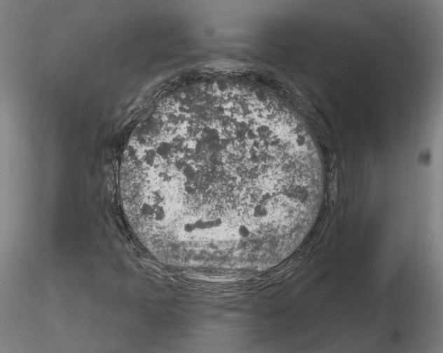 X0000115631397200912221239