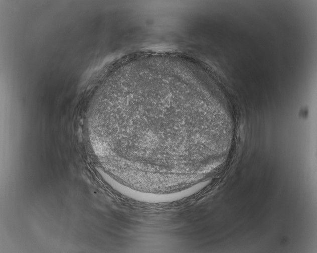 X0000115631398200912221239