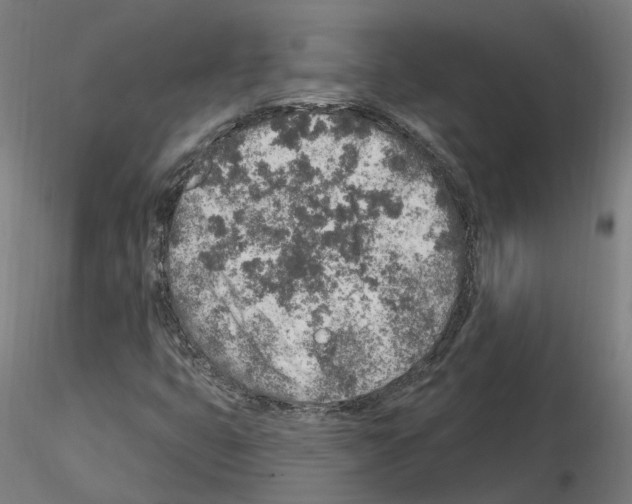 X0000115631399200912221239