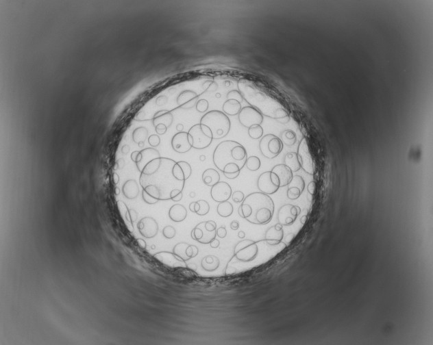X0000115631400200912221239