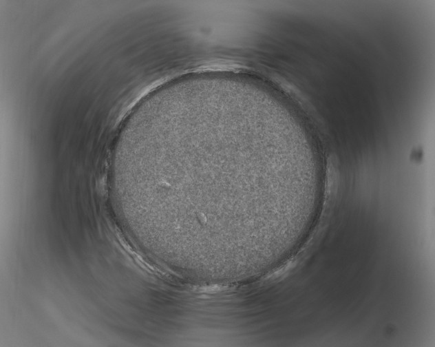 X0000115631401200912221239