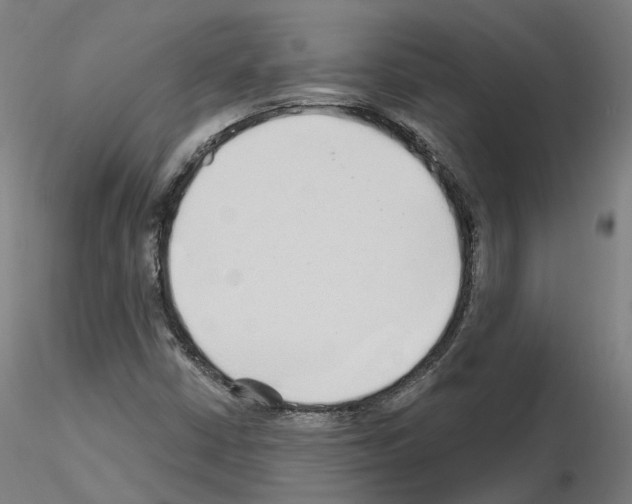 X0000115631402200912221239