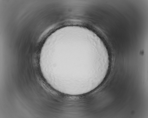X0000115631403200912221239