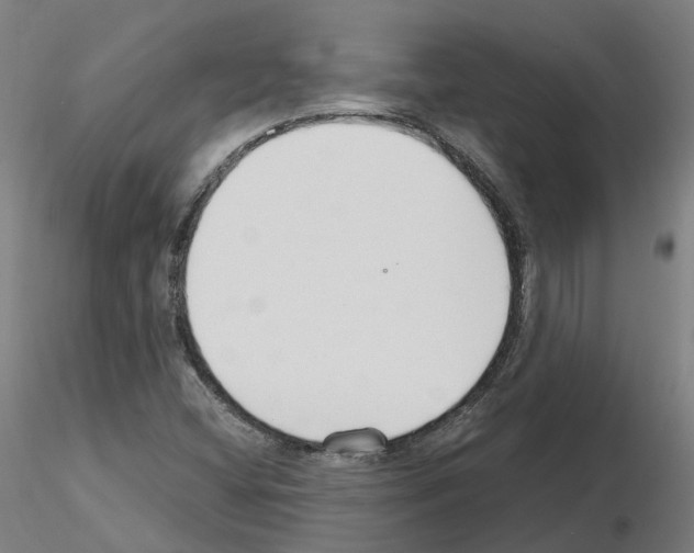 X0000115631404200912221239