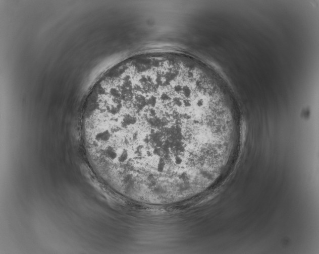 X0000115631405200912221239