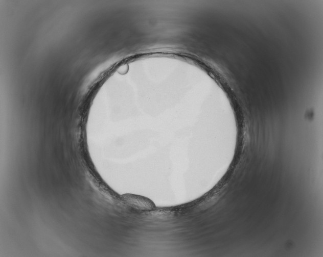 X0000115631406200912221239