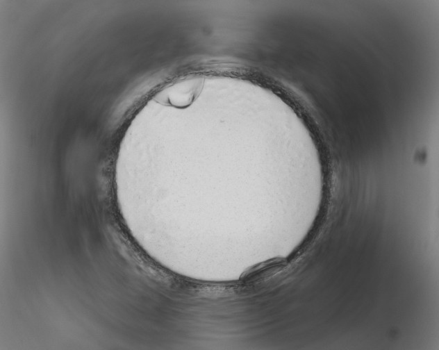 X0000115631407200912221239