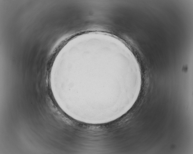X0000115631408200912221239
