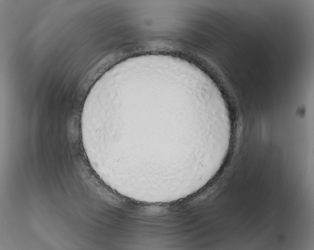 X0000115631409200912221239