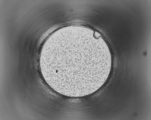X0000115631410200912221239