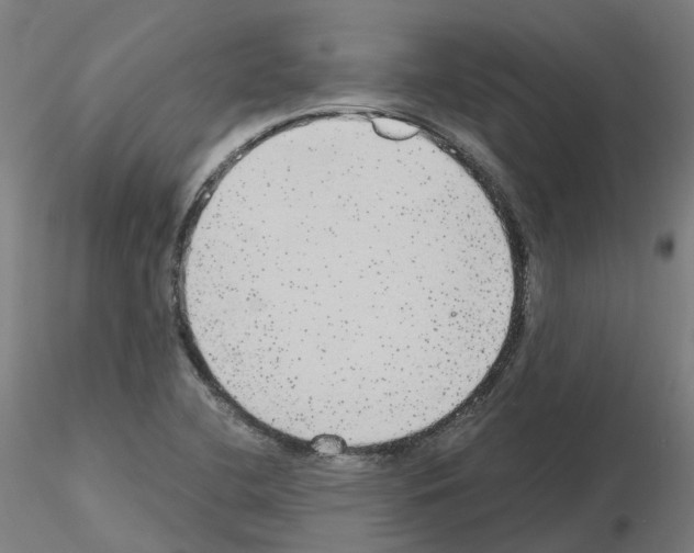 X0000115631412200912221239