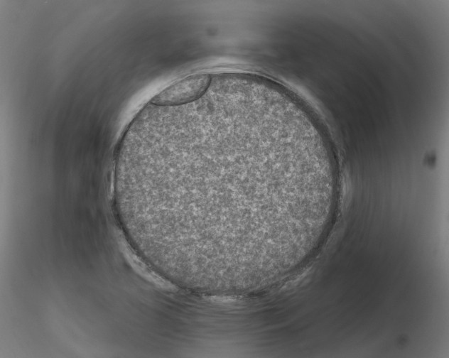 X0000115631413200912221239