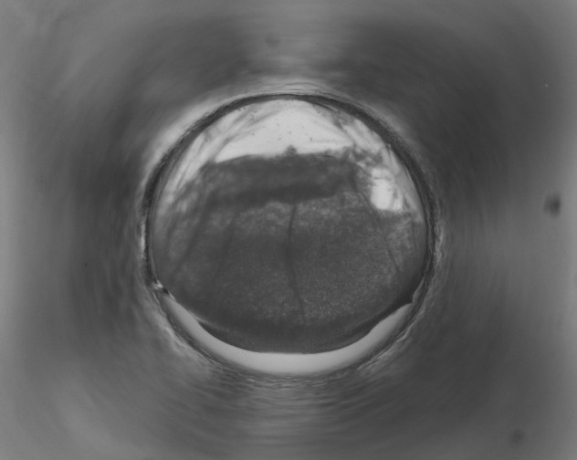 X0000115631414200912221239