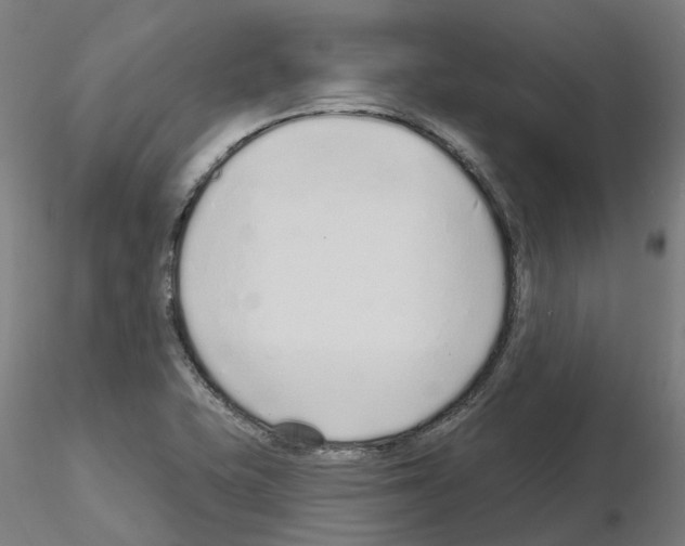 X0000115631415200912221239
