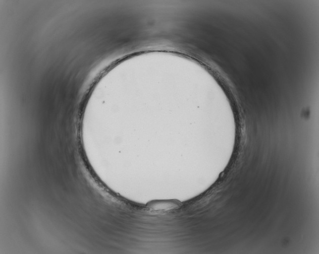 X0000115631416200912221239