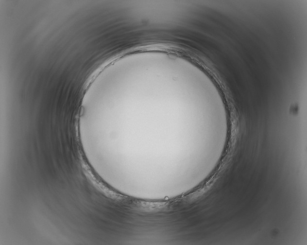 X0000115631417200912221239