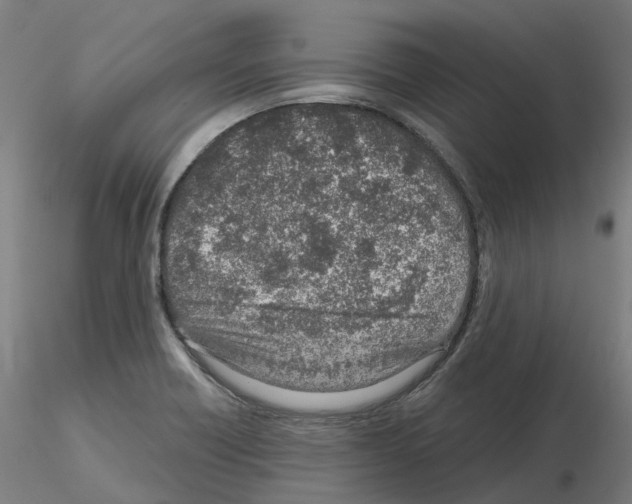 X0000115631418200912221239