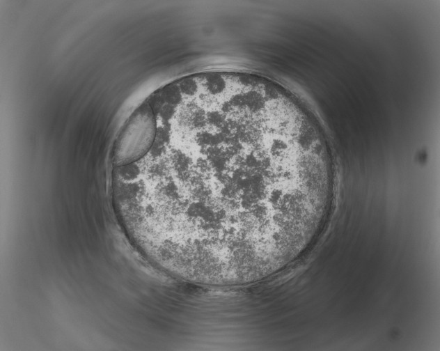 X0000115631419200912221239