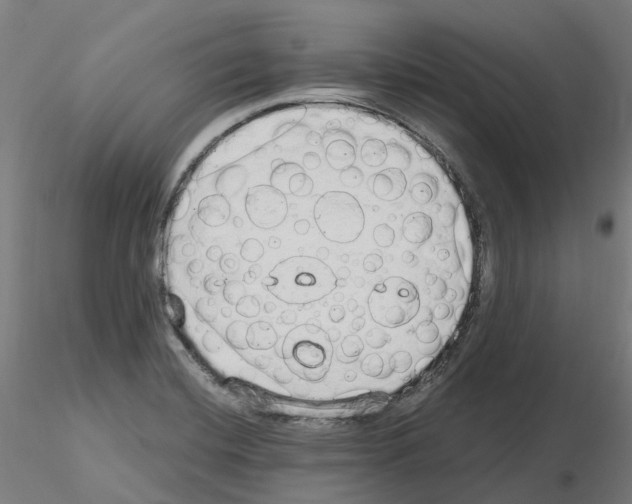 X0000115631420200912221239