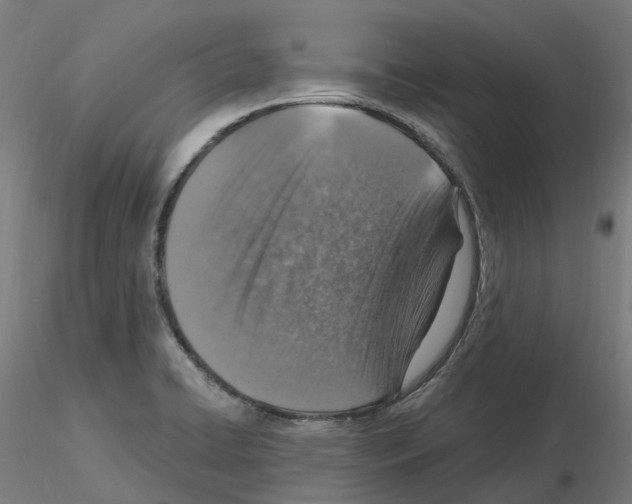 X0000115631422200912221239