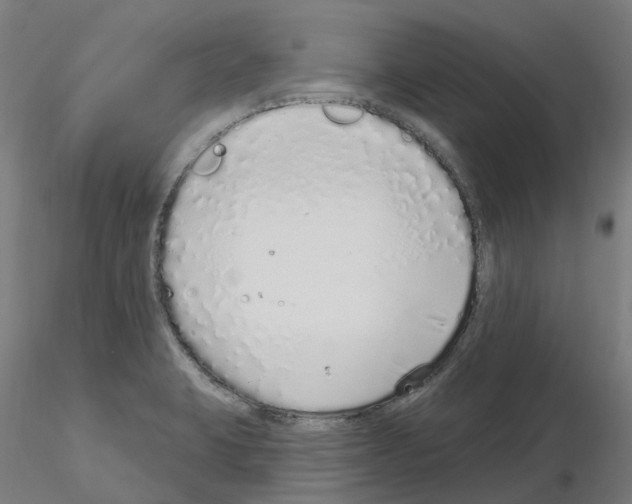 X0000115631423200912221240