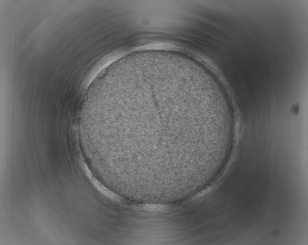 X0000115631425200912221240